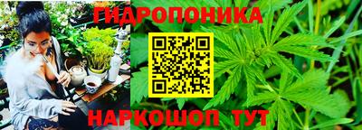 ГАЛЛЮЦИНОГЕННЫЕ ГРИБЫ Назарово