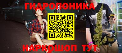 ешки Надым